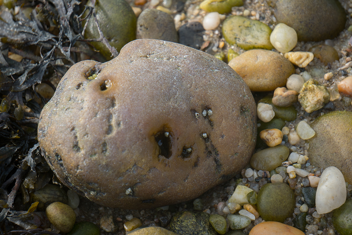 web_20180728-DSC01849-1