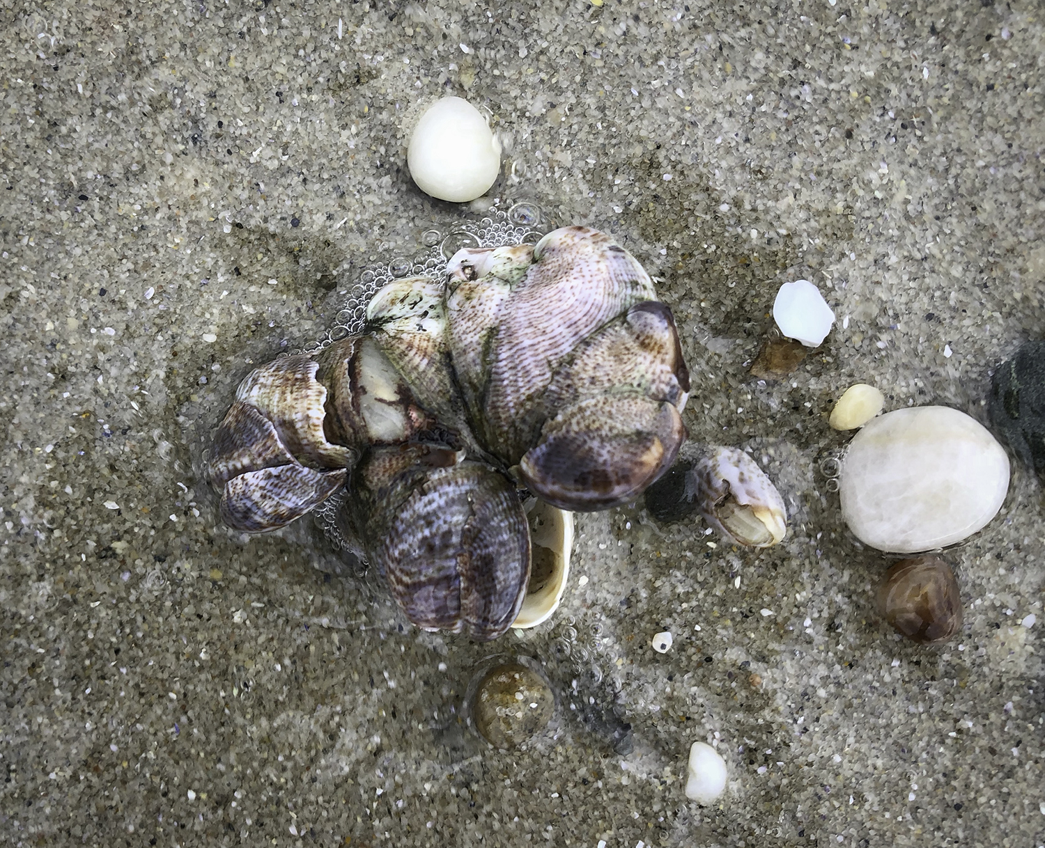 WM_IMG_5981_Paladines