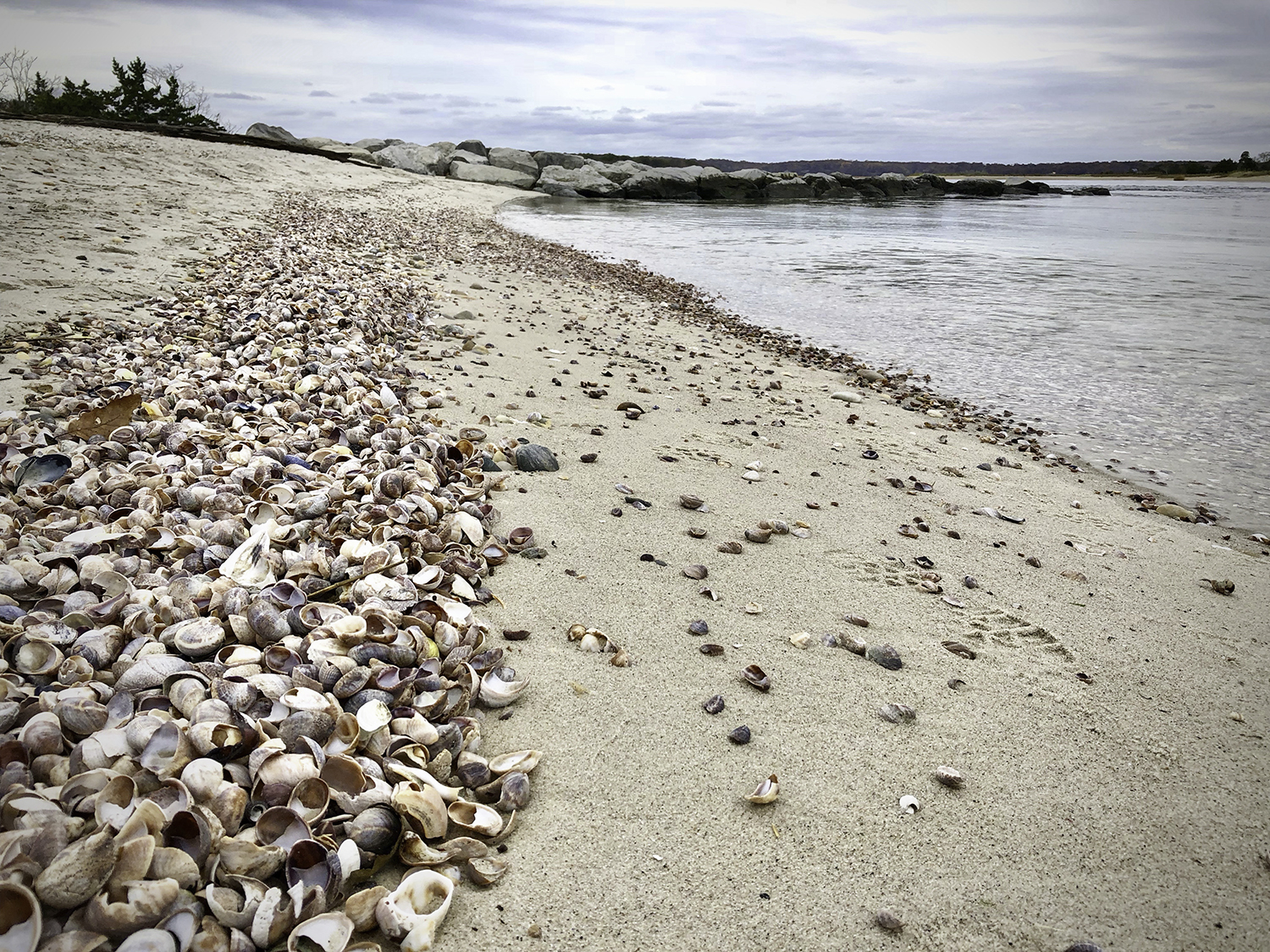 WM_IMG_5992_Paladines